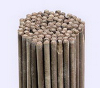 ELECTROZI